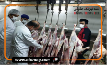 طرح تشدید نظارت بهداشتی بر کشتارگاه‌های دام و طیور استان قزوین